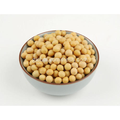 Organic Soybean Soybean Factory